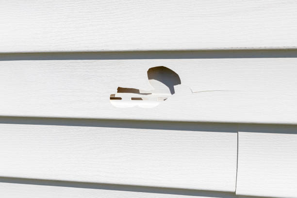 How To Choose The Right Materials for Your Siding Installation in 'Mobridge, SD